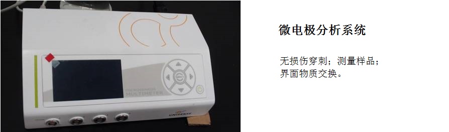 微電極分析系統(tǒng)